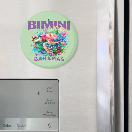 バハマのお土産ギフト：ビミニバハマウミガメ マグネット (インサイチュ (冷蔵庫))