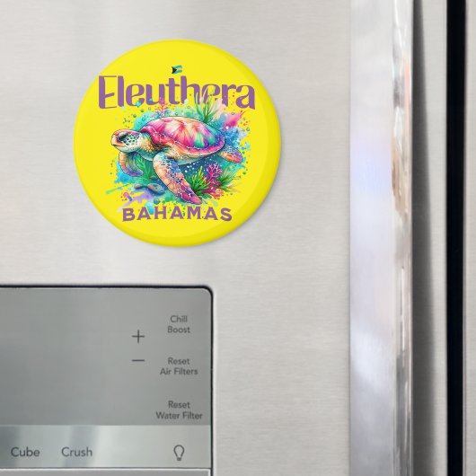 バハマのお土産ギフト： Eleutera Bahamas Turtle マグネット (インサイチュ (冷蔵庫))