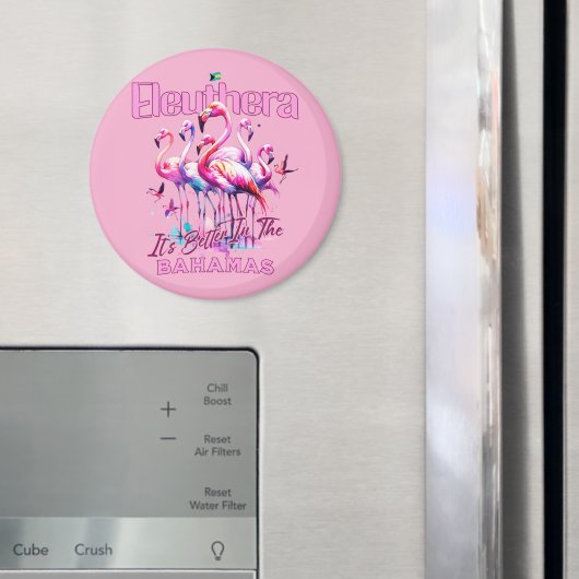 バハマのお土産ギフト： Eleuthera Bahamas Flamingo マグネット (インサイチュ (冷蔵庫))