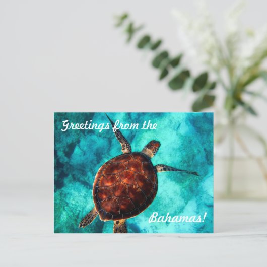 バハマのはがき ポストカード (スタンド正面)