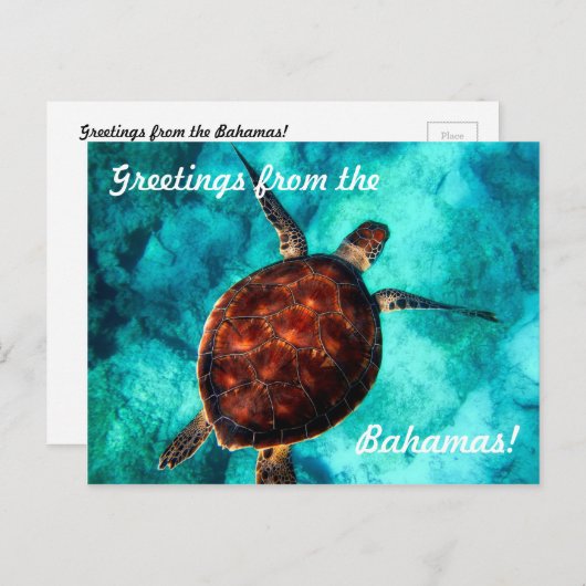 バハマのはがき ポストカード (正面/裏面)