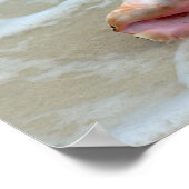 バハマのクイーンコンチザサーフ ポスター (角)