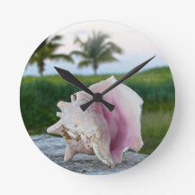 バハマの壁のクイーンコンチシェル