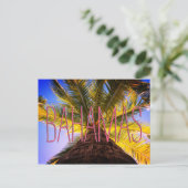 バハマの木 ポストカード (スタンド正面)