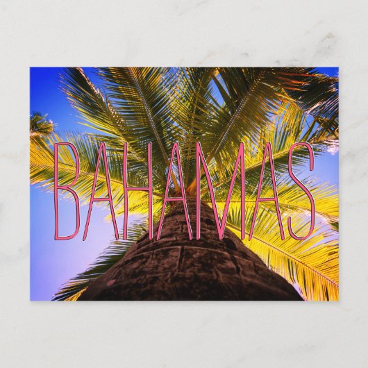 バハマの木 ポストカード (正面)