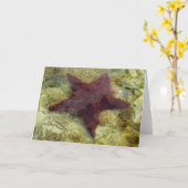 バハマの海中ヒトデ カード (黄色い花)