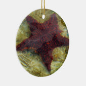 バハマの海中ヒトデ セラミックオーナメント (右)