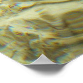 バハマの海中ヒトデ ポスター (角)