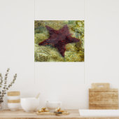 バハマの海中ヒトデ ポスター (キッチン)