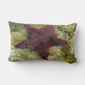 バハマの海中ヒトデ ランバークッション (裏面)