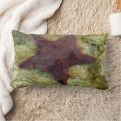 バハマの海中ヒトデ ランバークッション (ブランケット)