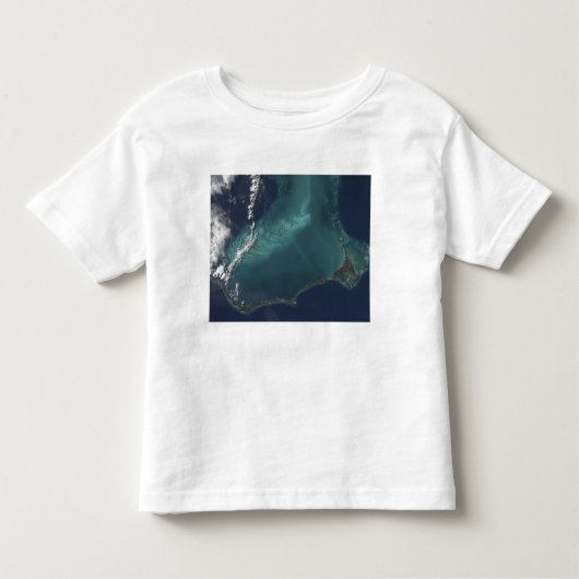 バハマの長い狭いエルースラ島 トドラーTシャツ (正面)
