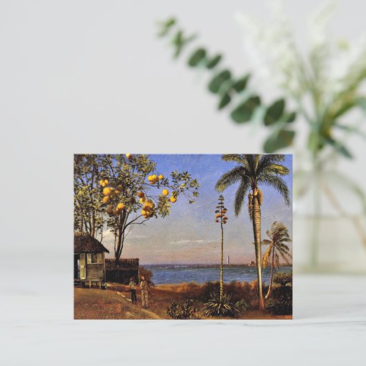 バハマの風景、アルバート・ビアシュタットによる絵画 ポストカード (スタンド正面)