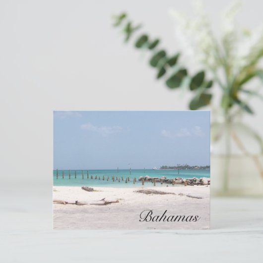 バハマはがき ポストカード (スタンド正面)