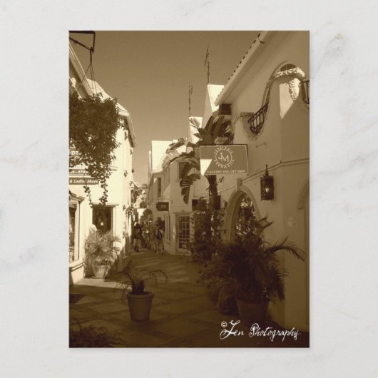 バハマはがき ポストカード (正面)