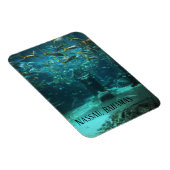 バハマアトランティス マグネット (右側)