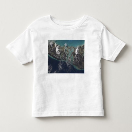 バハマアンドロス島2 トドラーTシャツ (正面)