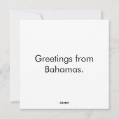 バハマスイミングピグ2024 シーズンカード (裏面)