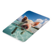 バハマスイミングピグ マグネット (左側)