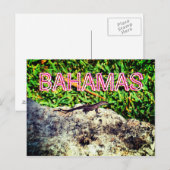 バハマトカゲ ポストカード (正面/裏面)
