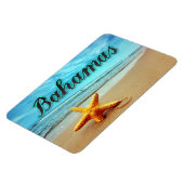 バハマヒトデ マグネット (左側)