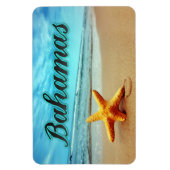 バハマヒトデ マグネット (縦)