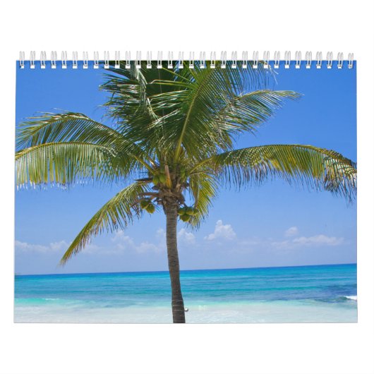 バハマヤシ カレンダー (カバー)