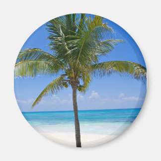 バハマヤシ マグネット