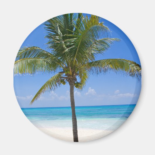 バハマヤシ マグネット (正面)