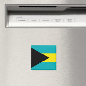 バハマ国旗 マグネット (インサイチュ (食洗機))