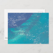 バハマ沖の大西洋海 ポストカード (正面/裏面)
