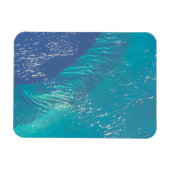 バハマ沖の大西洋海 マグネット (横)