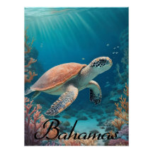 バハマ海亀旅行ポスター