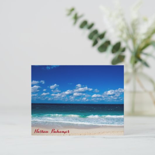 バハマ海 ポストカード (スタンド正面)