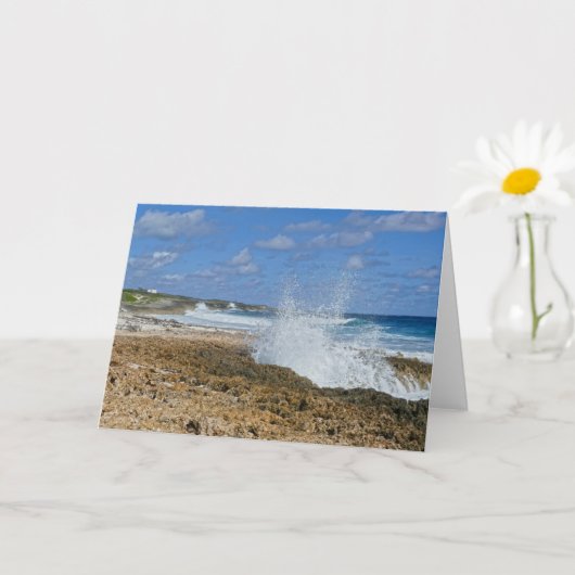 バハマ素晴らしスプラッシュ,アバコ島,バハマ» カード (小さな植物)