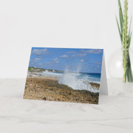 バハマ素晴らしスプラッシュ,アバコ島,バハマ» カード