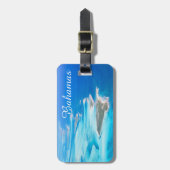 バハマ航空 ラゲッジタグ (正面縦)