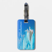 バハマ航空 ラゲッジタグ (裏面縦)