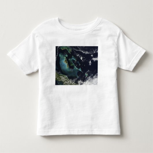 バハマ諸島の衛星観測 トドラーTシャツ (正面)