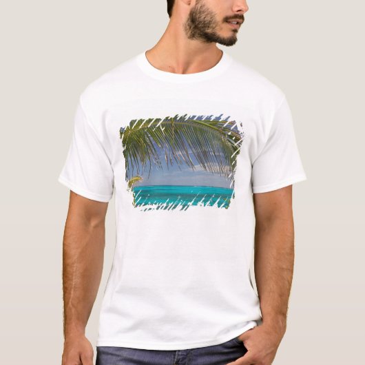 バハマ諸島、アバコ島、ロイヤリスト諸島、マン・オー・ウォー・キー: Tシャツ (正面)