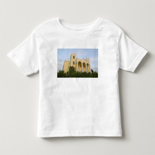 バハマ諸島、アバコ諸島、グレート・アバコ島、マーシュ トドラーTシャツ (正面)