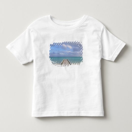 バハマ諸島 グランドバハマ島 東側: トドラーTシャツ (正面)