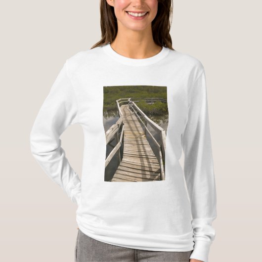 バハマ諸島 グランドバハマ島 東側: Tシャツ (正面)