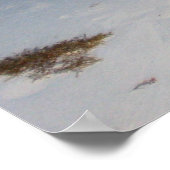 バハマ額写真 ポスター (角)