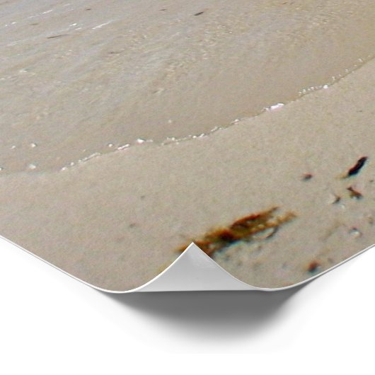 バハマ額写真 ポスター (角)