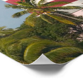 バハマ，アバコス，ロイヤリストCays, Elbow Cay，ホープ ポスター (角)