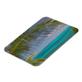 バハマ、アバコス、ロイヤリストCays、Man O'War Cay: マグネット (左側)