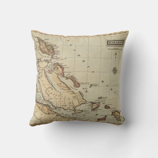 バハマ クッション (裏面)