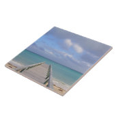 バハマ、グランドバハマ島、東部： タイル (側面)