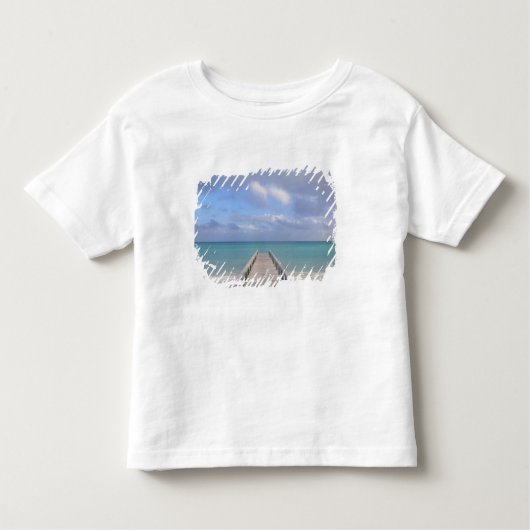 バハマ、グランドバハマ島、東部： トドラーTシャツ (正面)
